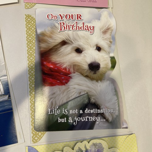 Konvolut 8 verschiedene Geburtstagsgrußkarten - Blumen, malerische & süße Designs - - Bild 7 von 22