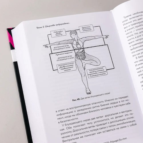 За кадром. О скрытой работе нашей психики / Джексон Светлана / Russisches Buch - Bild 4 von 5