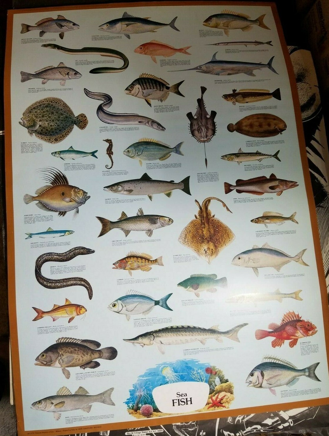 Foto 1 di 9