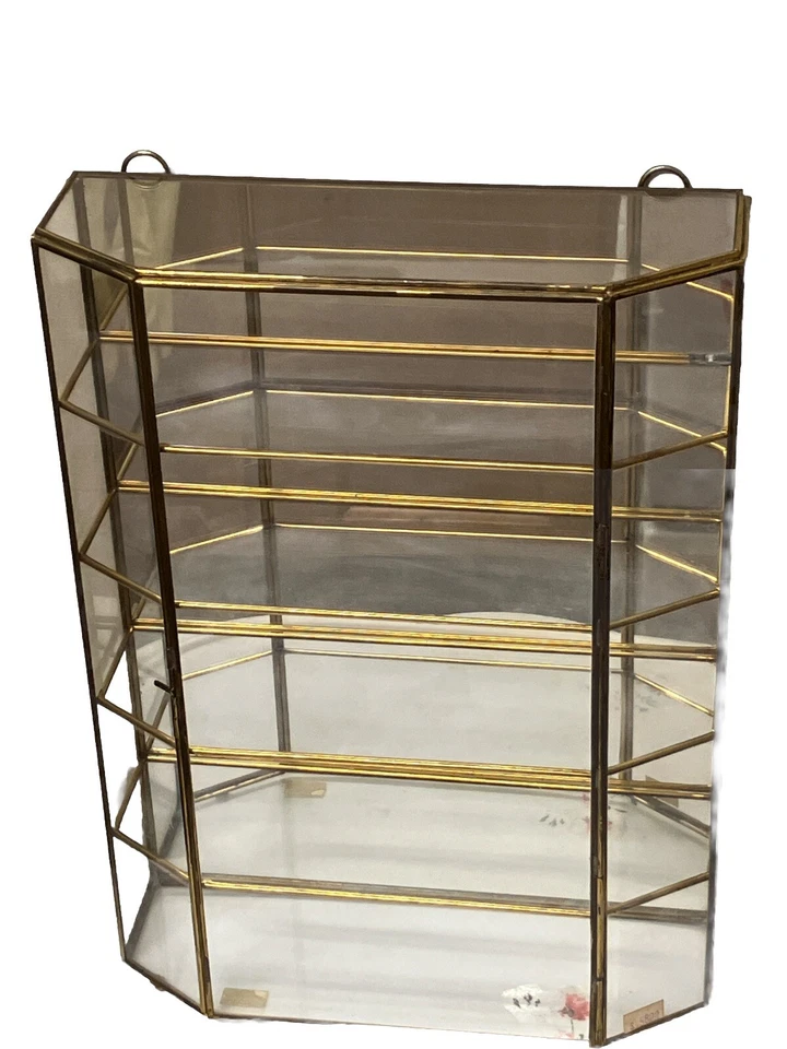 De colección MCM Latón y Vidrio Expositor Curiosidades Gabinete Colgante 5 Estantes Espejo Puerta con Bisagras Foto 2 de 4
