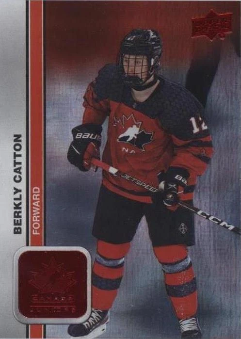 Red Patterned Foilboard