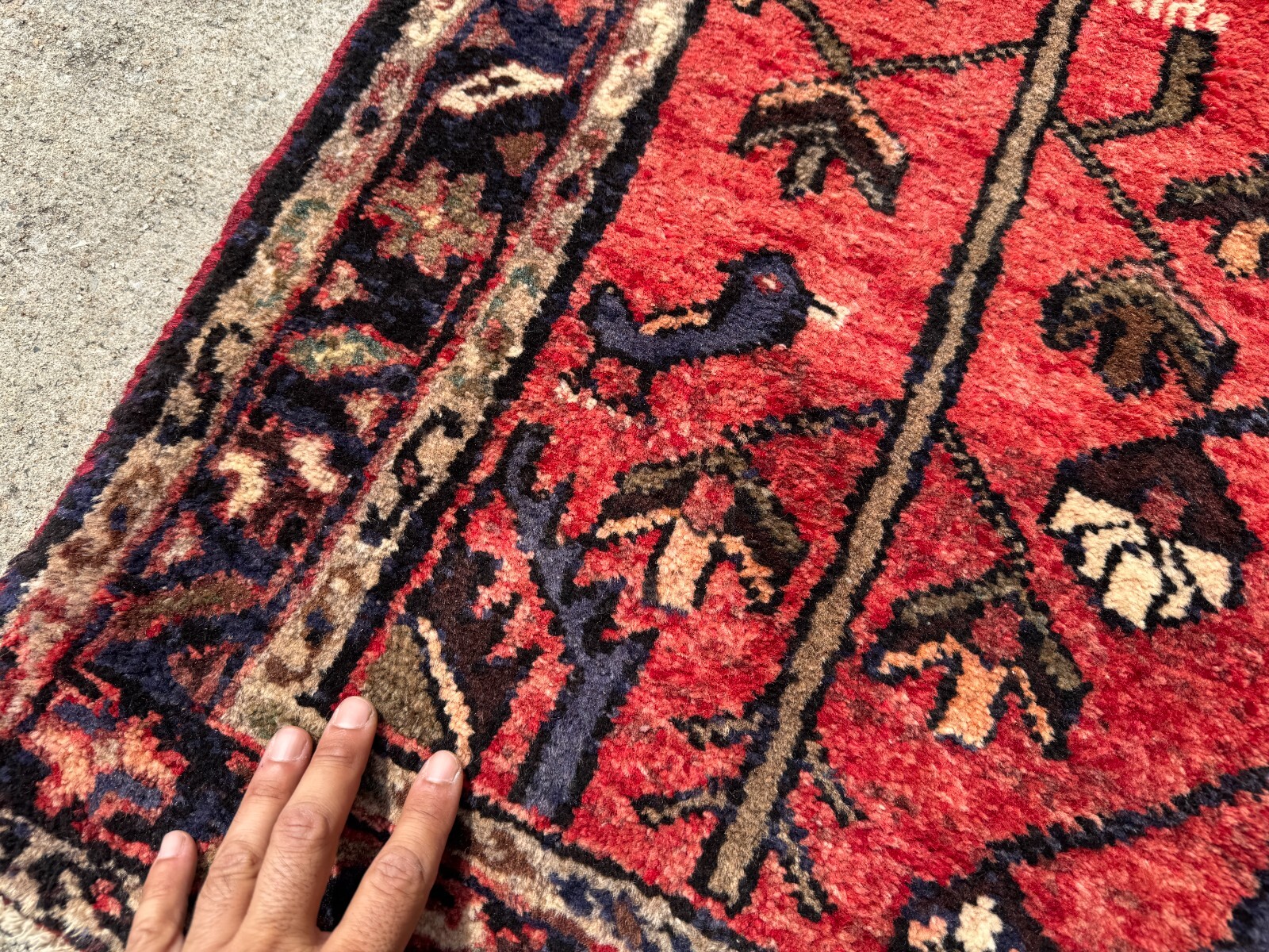 Picture 7 of 18