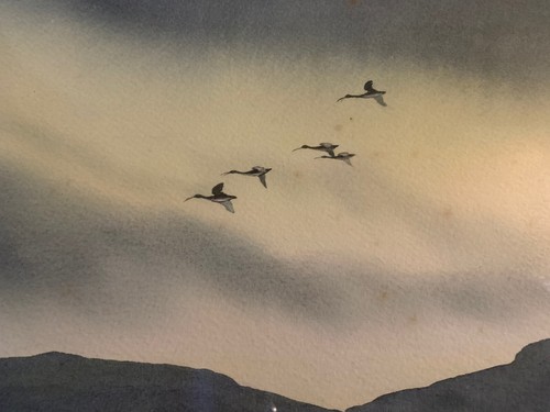 Vernon Lane Watercolor Birds In Flight - Picture 1 of 12