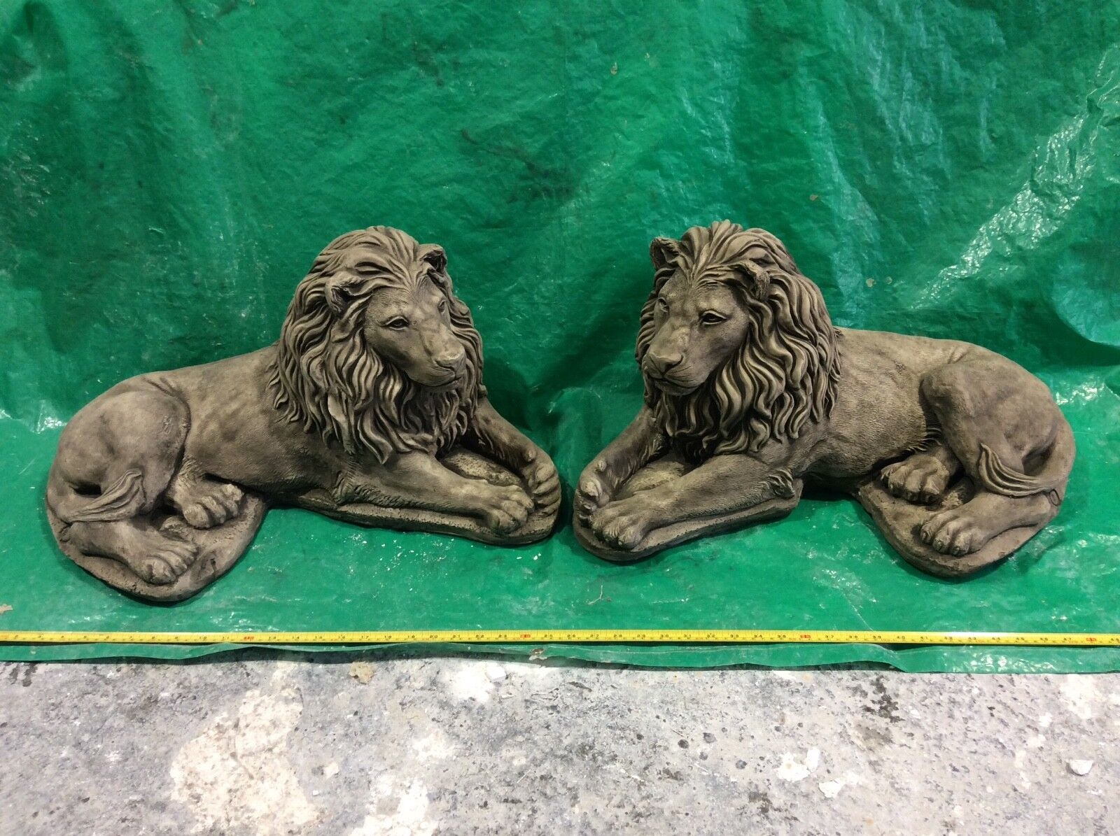 Picture 7 of 12
