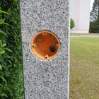 Bild 10 von 10