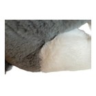 Bild 11 von 14