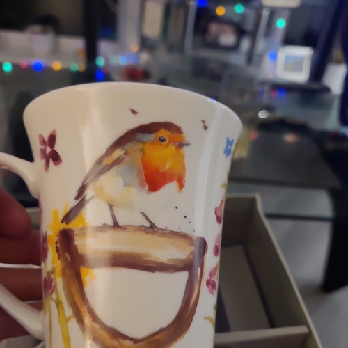 SET OF 4 FINE CHINA MUGS GARDEN BIRDS ROBIN COFFEE OR TEA MUG SET GIFT BOXED NEW - Picture 6 of 11