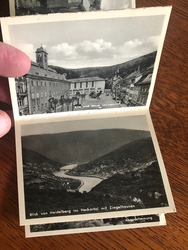 Vintage Ansichtsbuch Heidelberg Deutschland Erinnerung an Heidleberg / 12 Hochglanz s/w - Bild 4 von 8