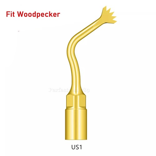 Dental Piezo Scaler Ultrasonic Bone Surgery U Tips Fit NSK Woodpecker US-II LED - Picture 21 of 53