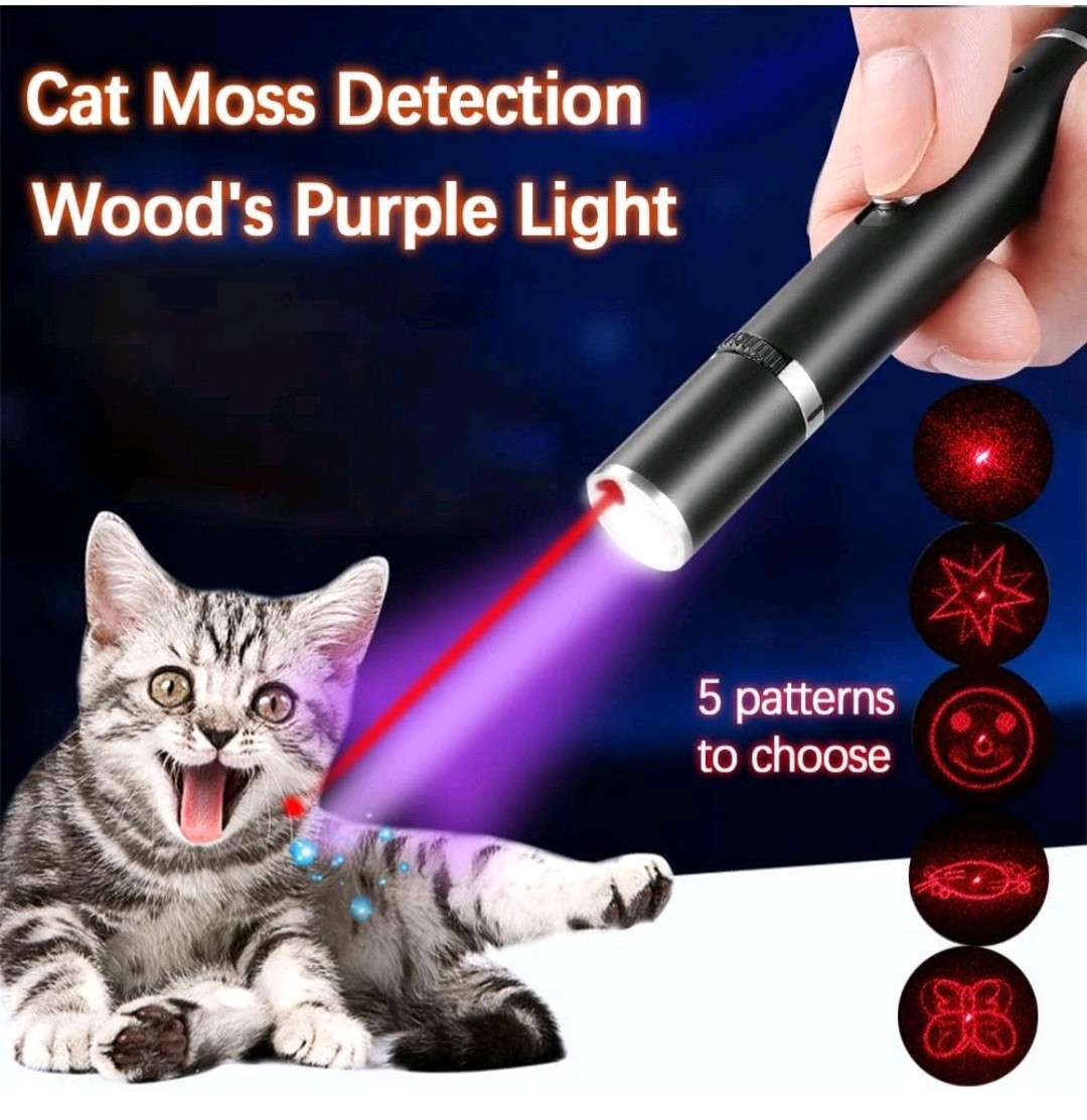 Laserpointer für Katzen Hund Spielzeug Präsentation UV Leuchten USB (DHL) (CE)