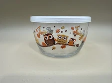 Vintage Libbey Crisa Hoot Owl Fox Racoon Squirrel Fall Harvest 4.25” W Lid