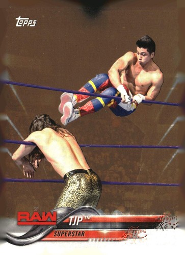 2018 Topps WWE base, inserts, and bronze - PYC - complete your set - Picture 280 of 289