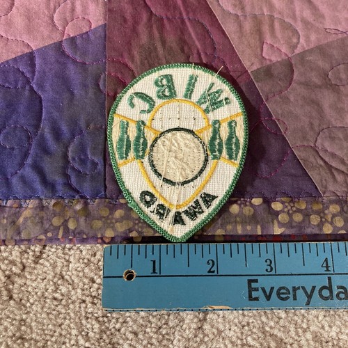Vintage Patches Pick One Iron On Sew On Cloth gold green White Blue Patch - Picture 40 of 60