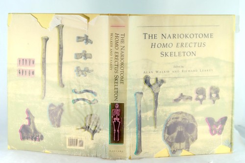 Alan Walker Richard Leakey 1st Ed 1993 The Nariokotome Homo Erectus Skeleton - Picture 4 of 12