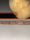 Bild 7 von 7