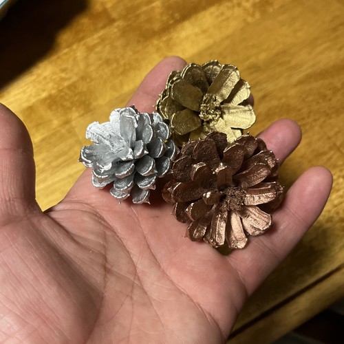 1 Dozen Pine Cone Flowers/Pine Cone Succulent-Hand Cut/Rustic - Bild 7 von 19