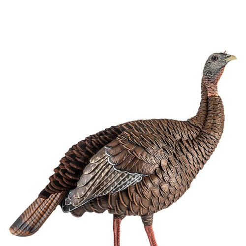 HDR Hen Turkey Decoy | Durable Realistic Lifelike Standing Hunting Decoy with... - Picture 2 of 5