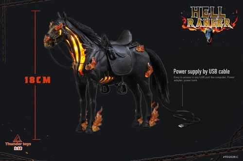Thunder Toys TD2028B 1/12 Rider Hell Ranger Action Figure Deluxe Ver. IN STOCK - Bild 10 von 12