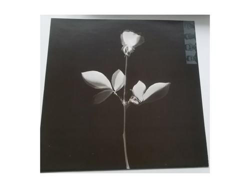 Depeche Mode - Violator - LP OIS - German Press 1990 - Picture 3 of 4