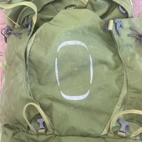 Osprey Packs Aether 65L Hiking Backpack Green - Picture 4 of 9
