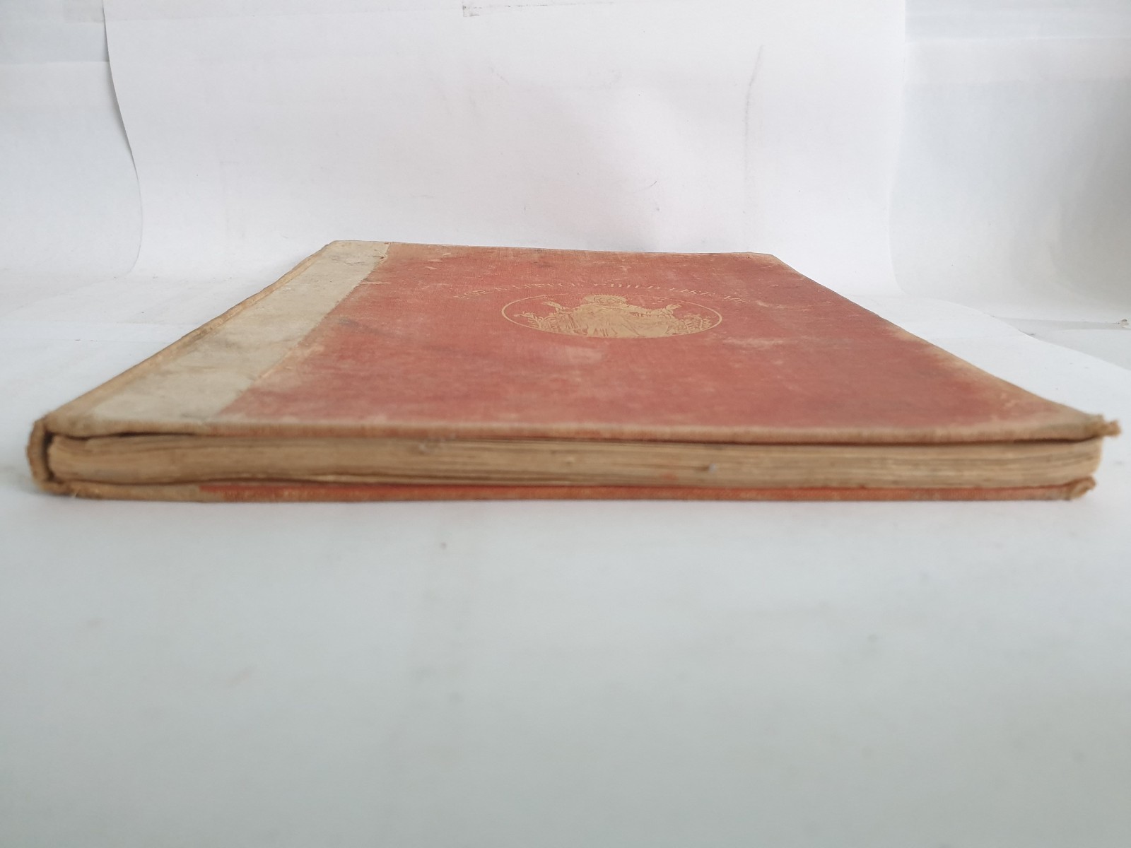 Picture 4 of 14