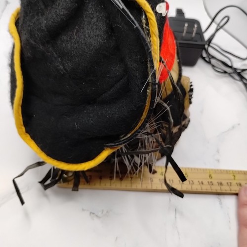 Halloween Pirate Skull Fiber Optic Color Changing Light Up Decoration VIDEO - Bild 14 von 19