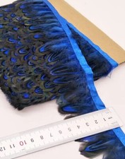 10 Metres Royal Blue Natural Almond Pheasant Feather Edging Ribbon Trim