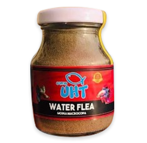 Fish Food UHT Moina Artemia Mosquito High Protein for Guppy Betta Ornamental fis - Picture 8 of 17