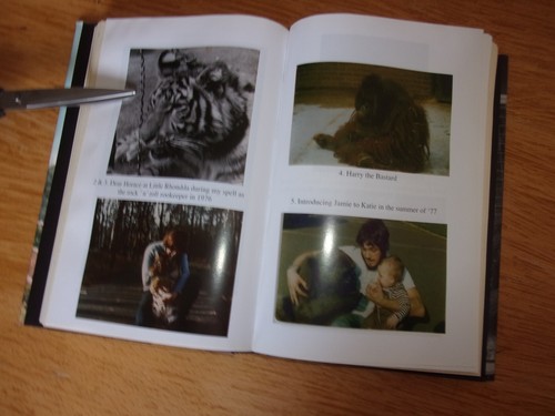 Jeremy and Amy: The True Story of One Man and His Orang-Utan by Jeremy Keeling - Picture 8 of 10