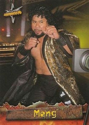 WCW GEPRÄGTE BASIS / BASISKARTEN 1 BIS 72 VON TOPPS 1999 WWE - Bild 59 von 90