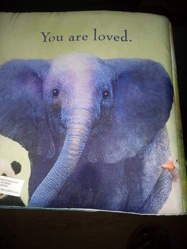 You're Here for a reason cloth/bathtime book Nancy Tillman You Are Loved - Picture 2 of 2