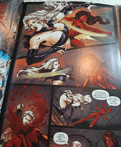 Lady Death (Boundless) # 12 - Cubierta envolvente Bad Girl "B" - en muy buen estado Brian Pulido - Imagen 4 de 5