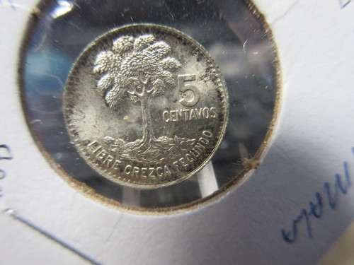1964 Guatemala 5 Centavos Silver KM # 261 - Picture 9 of 12