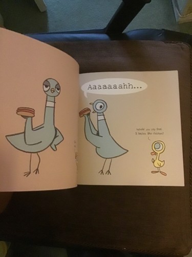 THE PIGEON FINDS A HOT DOG STORY PAPERBACK MO WILLEMS BEDTIME KIDS - Picture 2 of 2