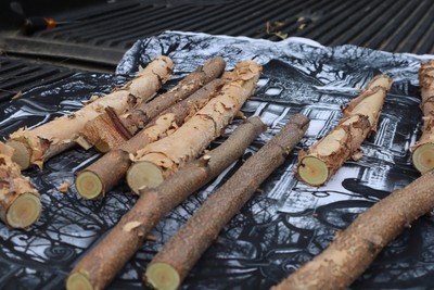 10 Yellow Birch mini logs 7 inches long