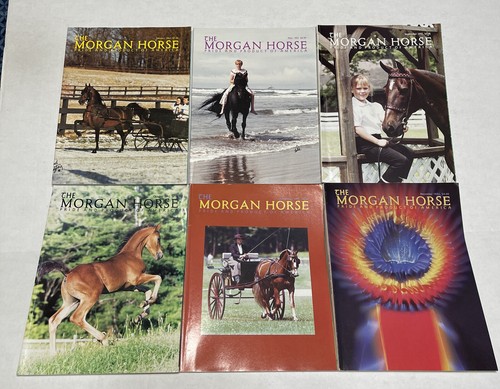 6 Issue- Morgan Horse Pride Products America- 1992- Jan, May, Sep, Oct, Nov, Dec - Picture 1 of 17