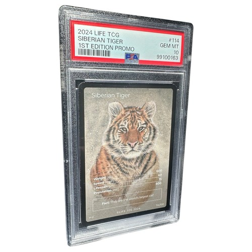2024 Life TCG Mammals Siberian Tiger 1st Edition Full Art PSA 10 GEM MT Pop 1 - Picture 3 of 5