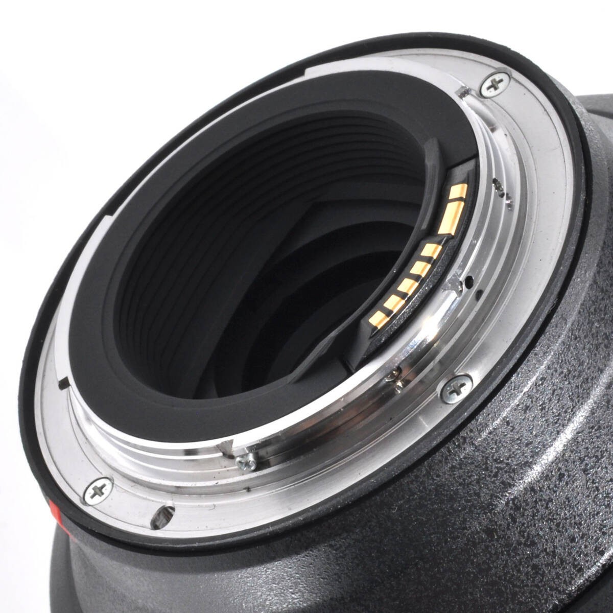 TAMRON SP 150-600mm F5-6.3 Di VC USD Canon EF mount Working