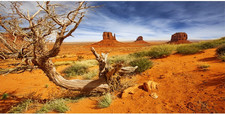 36X18 Inches Reptile Habitat Background Orange Desert Terrarium Background Durab