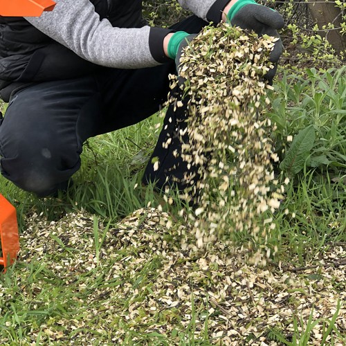24 h Mietservice Häcksler Mulcher Elektro Benzin mieten leihen in Grevenbroich - Bild 3 von 6