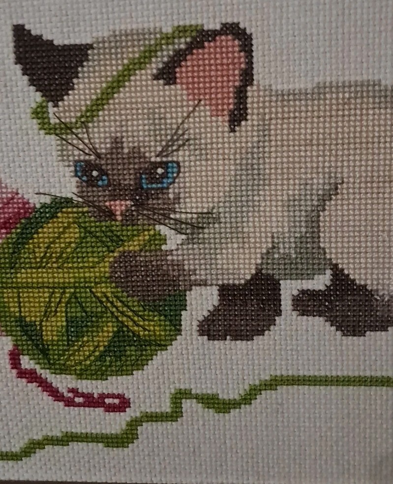 Picture 5 of 13