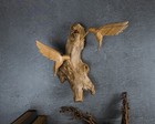 Hanging Hummingbird Decor 8", Wall Hanging Statue, Bird on a Tree, Gift for Him