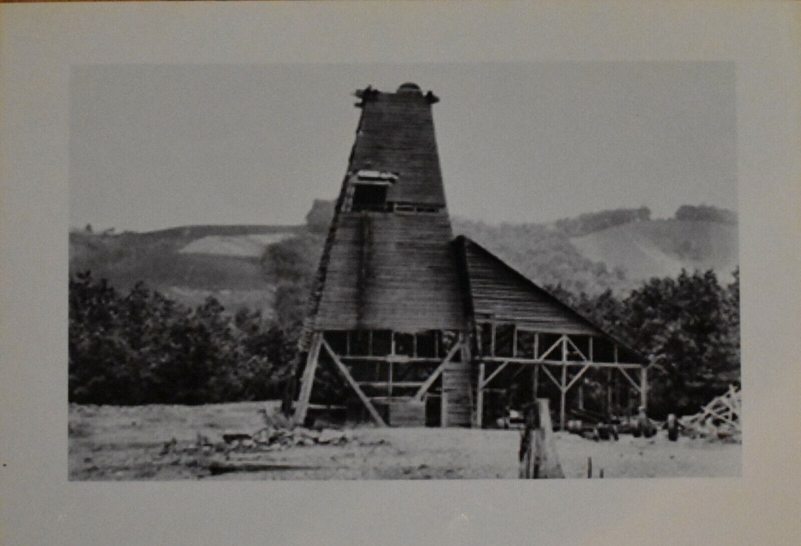 Picture 12 of 12