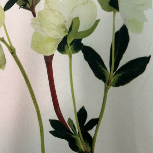 Victoria Beckham for Target Dress Kids Size L White with Long Stem Flowers VGC - Picture 4 of 9