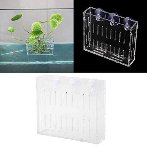 Exquisite Transparent Water Grass Cup, Safe 3 Suction Cups Design Aquarium - Afbeelding 5 van 6