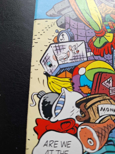 Animaniacs #6 (1995) DC Universe DCU Logo Variant Rare $$Lowest Price on eBay$$ - Picture 3 of 12
