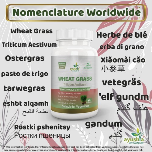 Wheat Grass Capsule - Picture 3 of 15