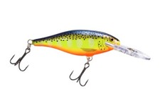 Rapala                       Shad Rap      SR5                 Hot Steel