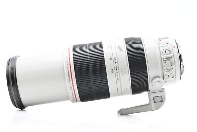 Canon EF 100-400mm f4.5-5.6 L IS II USM Lens #984 | eBay