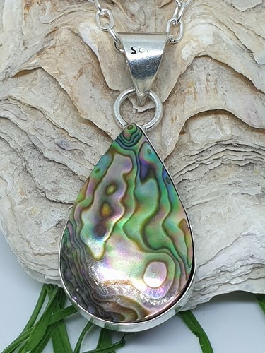 Großer Abalone Anhänger Halskette versilbert atemberaubend bunt Ab14 - Bild 2 von 5